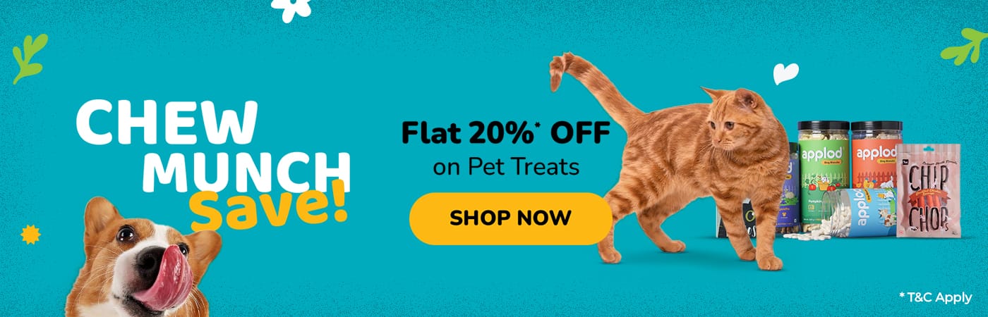 web_treat_banner_2_1400x450px_1