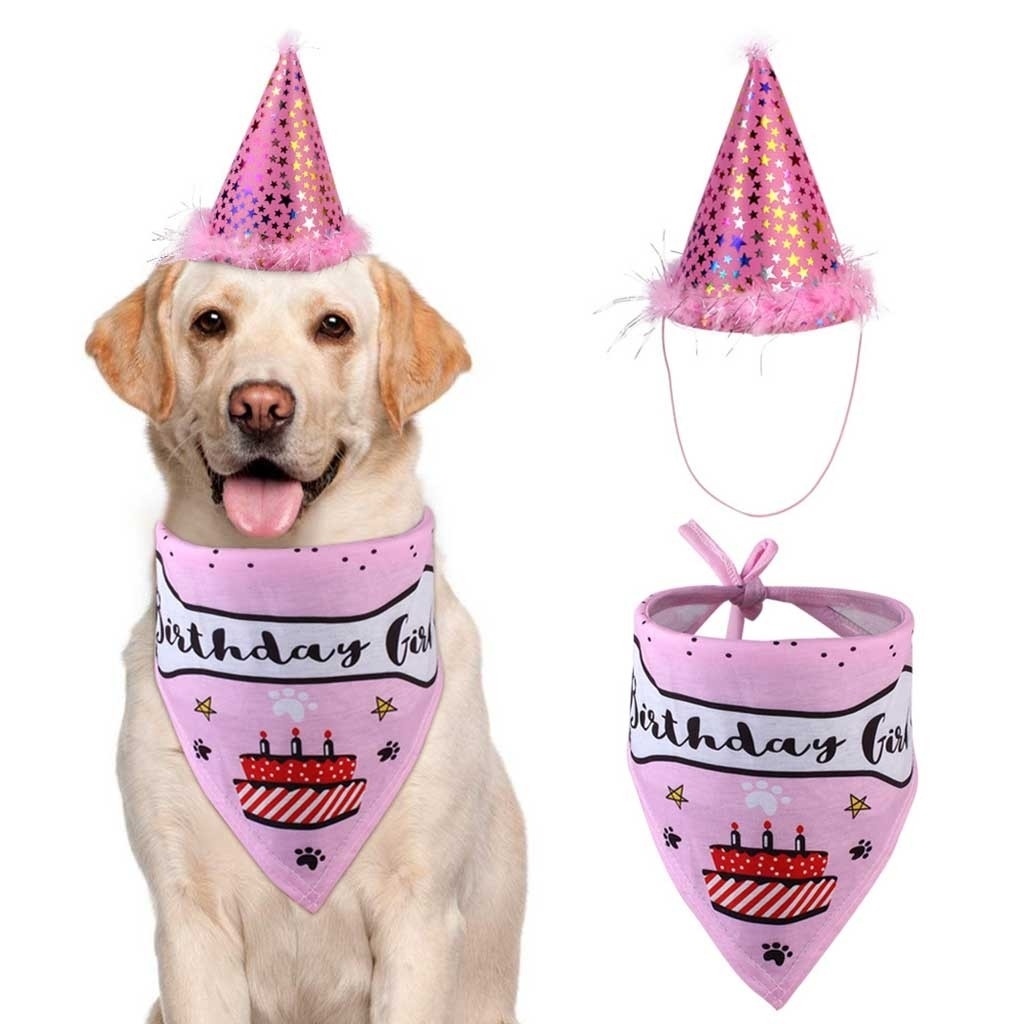 Pet birthday party hat saliva towel set - Image 5