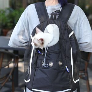 Cat bag pet outing backpack