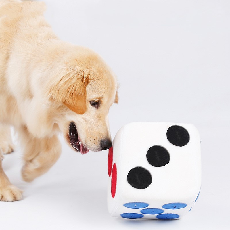 Color dice doll training to play and sniff pets - Image 4