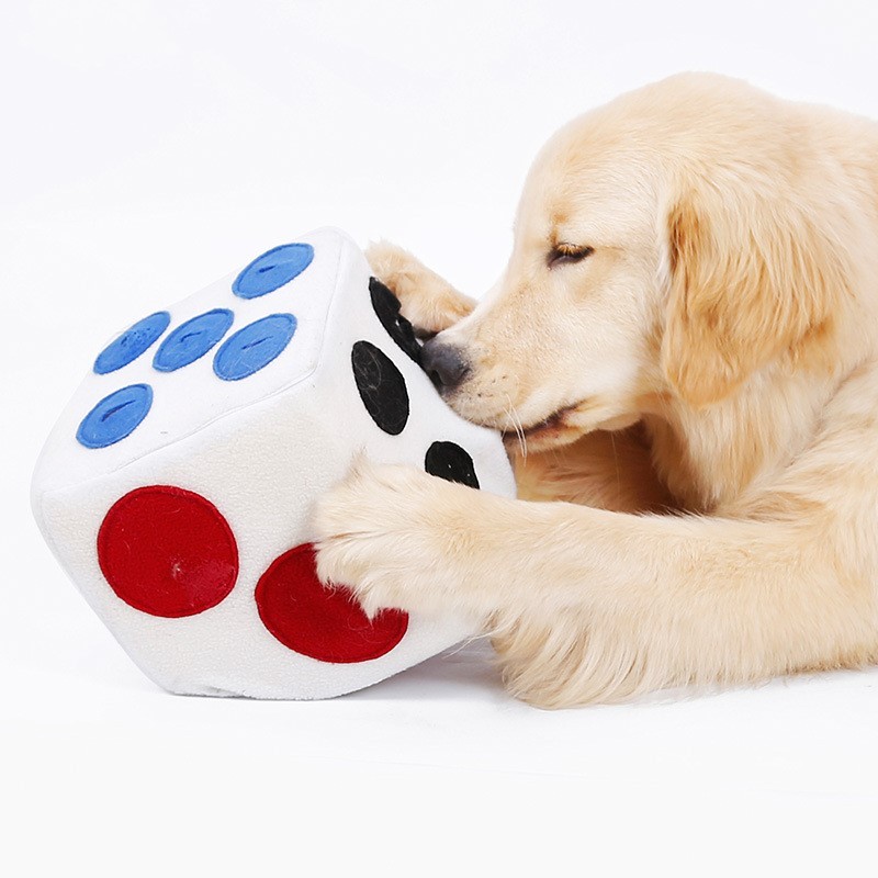 Color dice doll training to play and sniff pets - Image 5