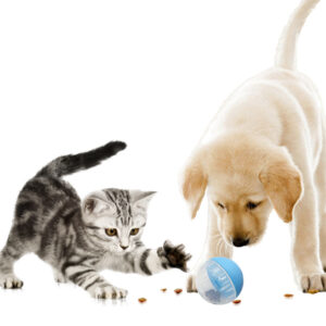 Pet Food Leakage Ball Toy Tumbler Self-healing Artifact Dog Toys Cat