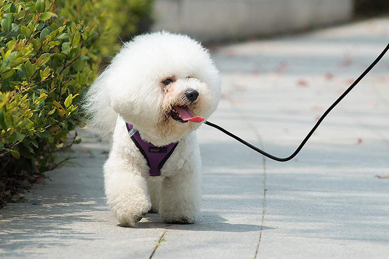 Vest-style Reflective Dog Traction Rope Mesh Breathable Dog Walking Rope Pet Supplies - Image 8